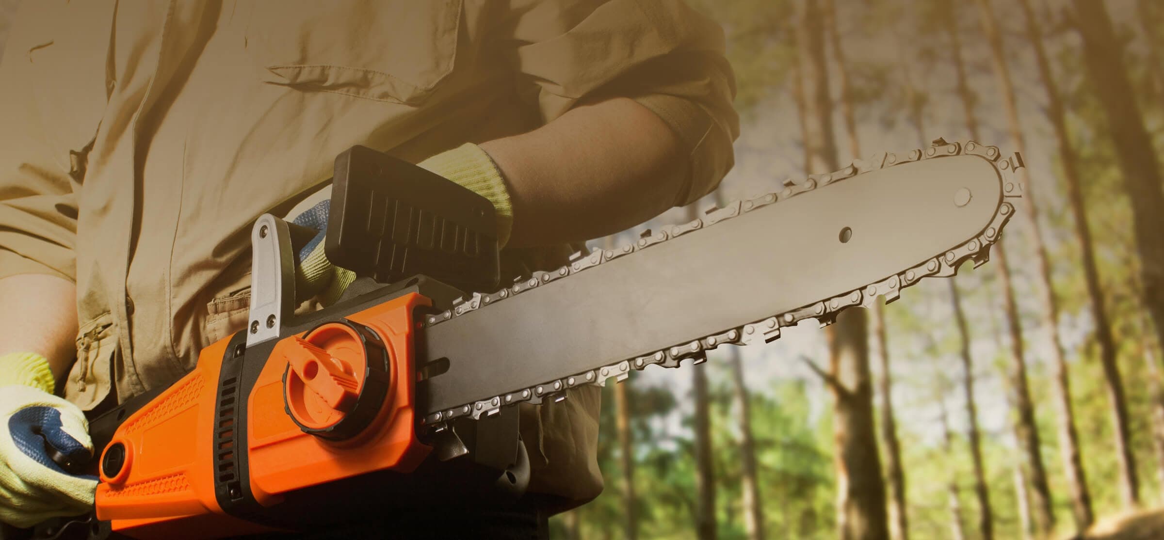 Tree Solutions crew member cutting with a chainsaw