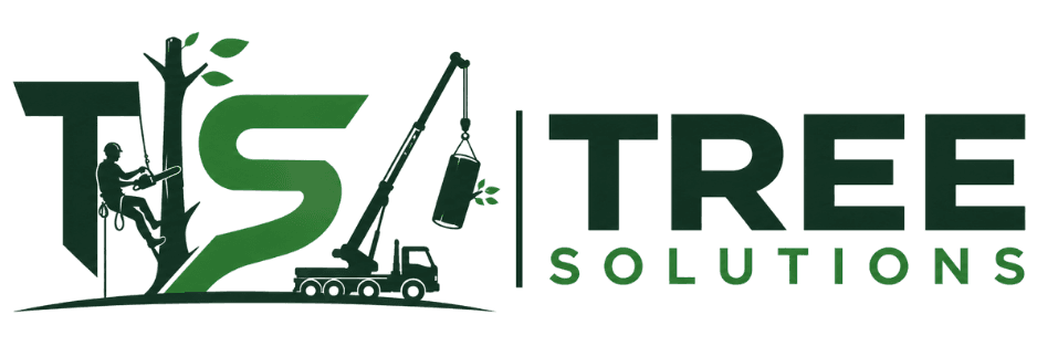 Texas Tree Solutions